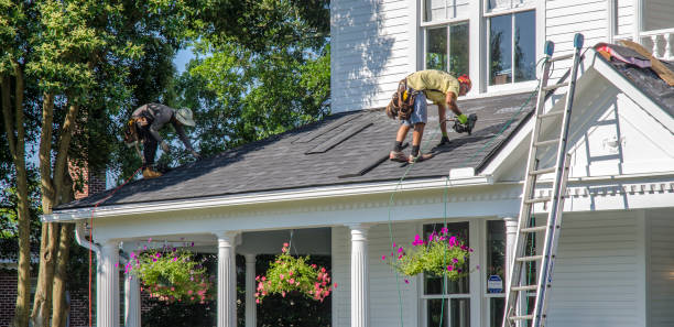 Best Roof Insulation Installation  in Plummer, ID